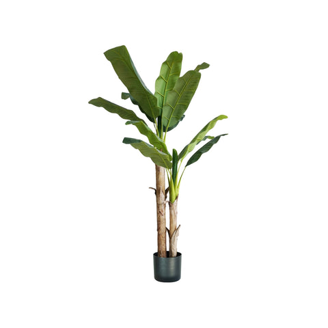 garden friend pianta banano in polietilene e vaso con 17 foglie 170cm ean 8023755056506
