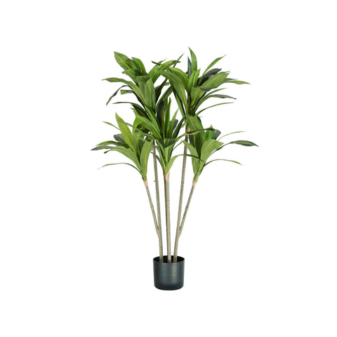 Planta de Dracaena de polietileno con 88 hojas y maceta con musgo 130cm
