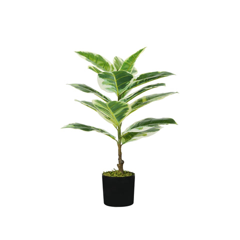 Planta de Ficus elastica de polietileno con 15 hojas y maceta con musgo 65cm