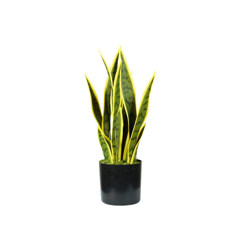Planta de Sansevieria de polietileno con 12 hojas en maceta con musgo 45cm