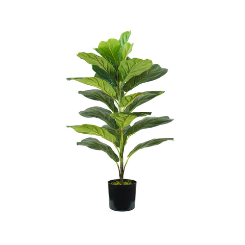 garden friend ianta ficus lyrata in polietilene con 21 foglie e vaso con muschio 75cm ean 8023755056759