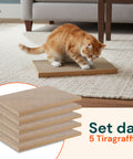 Set 5 Tiragraffi per Gatti Bifacciale in Cartone Ondulato
