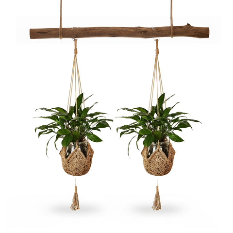 Set de 2 maceteros de macramé trenzados a mano con ganchos en S