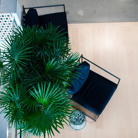 immagine-2-atmosphera-createur-dinterieur-palma-tropicale-artificiale-a-2-tronchi-con-vaso-per-interni-180cm-ean-3560232734977