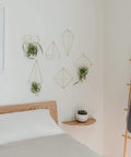 immagine-9-umbra-set-6-fioriere-decorative-da-parete-prisma-oro-ean-028295409049