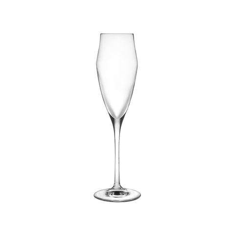 Set de 6 copas de champán Ego de 18cl
