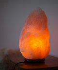 immagine-3-voganto-lampada-di-sale-himalaya-purifica-ambiente-con-lampada-15w-23-kg-ean-8033738181835
